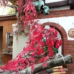 Zeitreise Quedlinburg