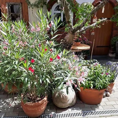 Zeitreise * 奎德林堡