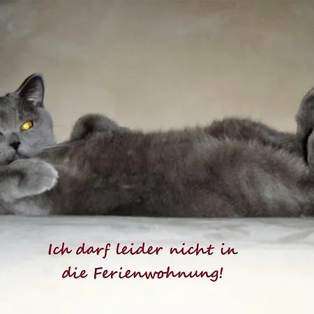 Zeitreise Quedlinburg