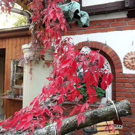 Zeitreise Quedlinburg