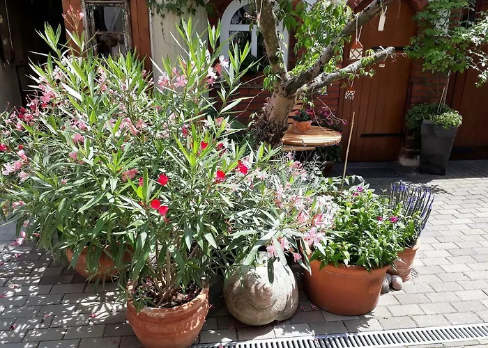 Zeitreise * 奎德林堡