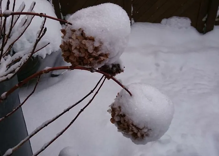 Διαμέρισμα Zeitreise *