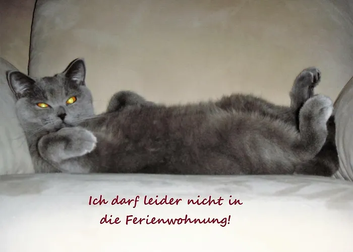 Zeitreise Quedlinburg