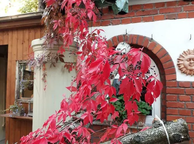 Zeitreise Quedlinburg